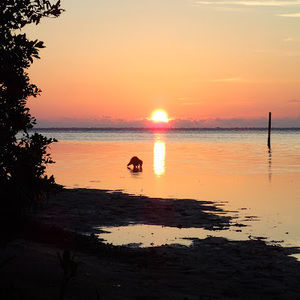 Meet your Posher, Johnny